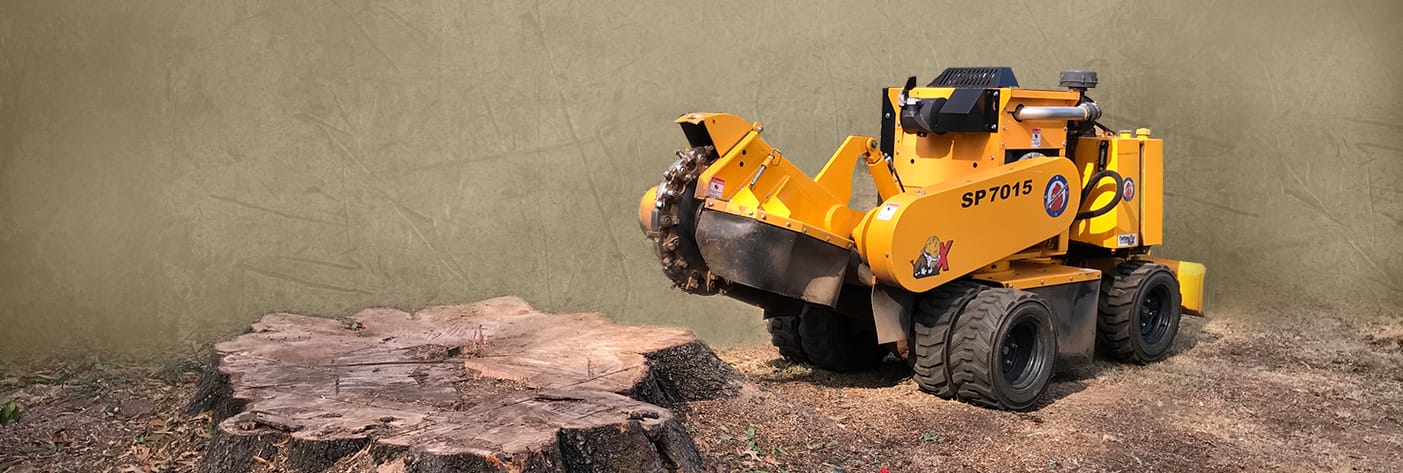 Stump Grinding & Removal Service